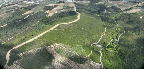 Bursa'da Orman Müdürlüğü harekete geçti