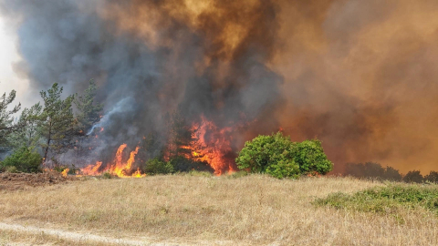 Bursa'da orman yangını kontrol altına alındı