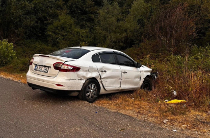 Tarlaya uçan otomobildeki 5 kişi yaralandı