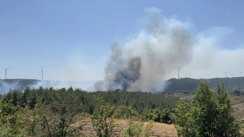 Çanakkale'de orman yangını çıktı!