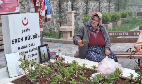 Eren Bülbül'ün annesi Ayşe Bülbül: Silahlarını teslim etsinler!