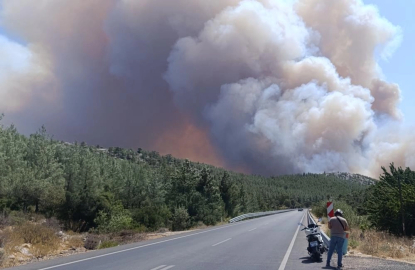 Mersin'de orman yangını: Havadan ve karadan müdahale ediliyor