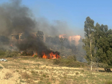 Adana'da korkutan yangın!