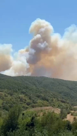 Bursa’da orman yangını büyüyor! Büyükşehir’den vatandaşlara öncelik uyarısı
