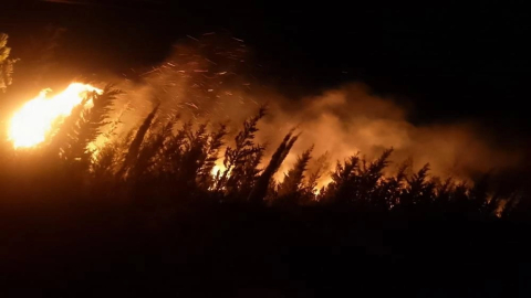 Urla yangını kontrol altında