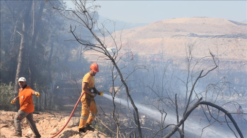 Antalya'daki orman yangınlarının sebebi belli oldu!