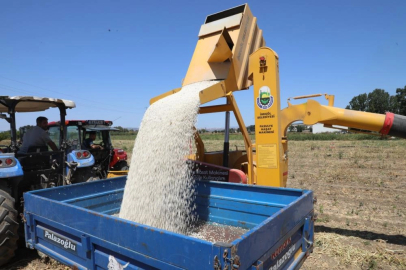 Bursa'da kuru fasulye hasadı başladı