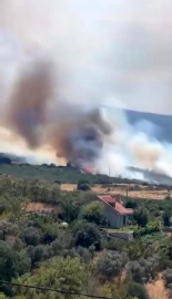 Bursa'da yangın paniği: Ormanlık alan alev aldı!