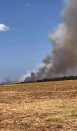 Bursa Nilüfer’deki orman yangını kontrol altına alındı