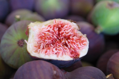 "Bursa siyahı"nda hasat ve ihracat başladı