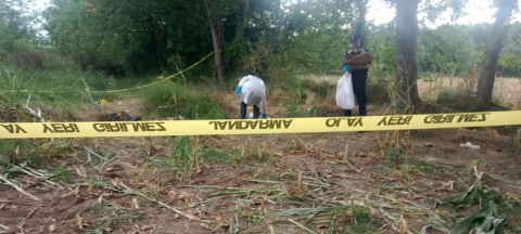 Düzce'de esrarengiz olay: Tarlada kafatası ve kemik bulundu!