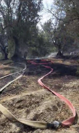 Mudanya'da korkutan yangın