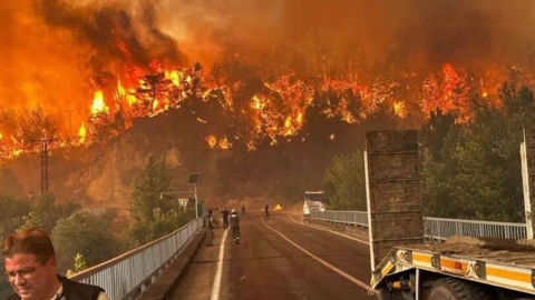 Bursa'da ağaçlandırma seferberliği başladı! İlk fidanlar yanan bölgeye dikilecek