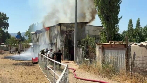 Bursa’da hayvan damı yandı: 3 hayvan telef oldu