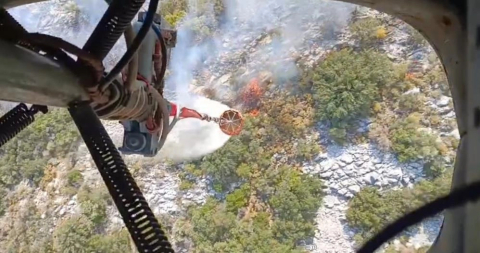 Muğla'da makilik alanda çıkan yangın ormana sıçradı