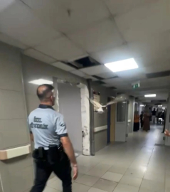 Acil serviste tatlı misafir: Bursa'da bir martı acile uçarak girdi