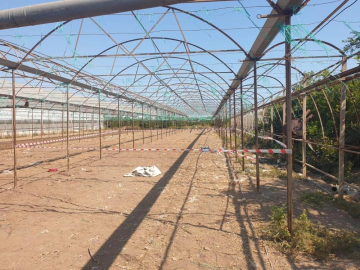 Antalya'da korkunç cinayet!