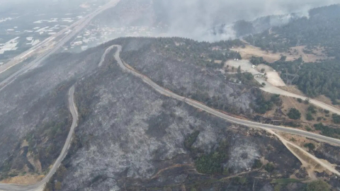 Gürsu’daki orman şehitlerinin adı hatıra ormanında yaşatılacak
