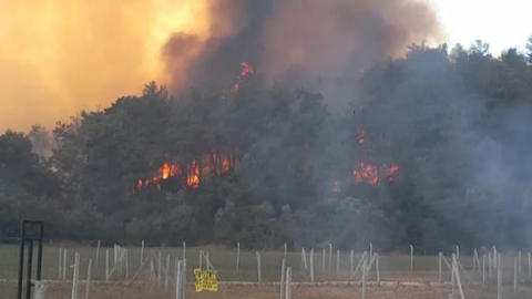İzmir'de orman yangını