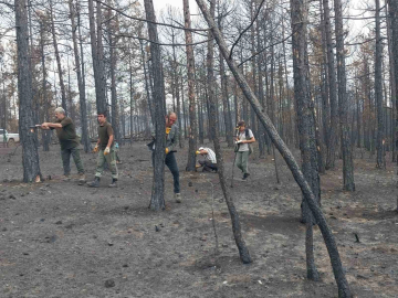 Bursa yeniden yeşillenecek!