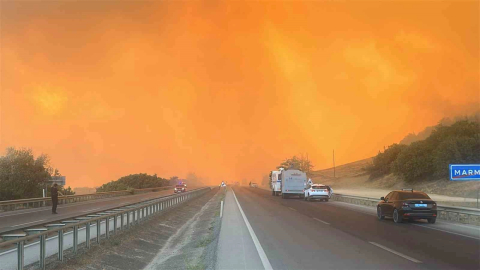Alevler çiftlikleri tehdit etti, hayvanlar kurtarıldı