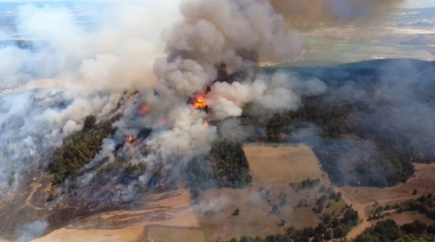Bursa'da korkutan yangın: Ormanlık alan alev aldı!