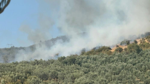 İznik'te orman yangını