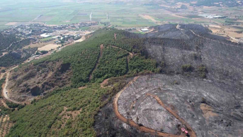Yenişehir’de 100 hektarlık alan küle döndü