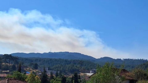 Denizli'de dün çıkan orman yangını sürüyor
