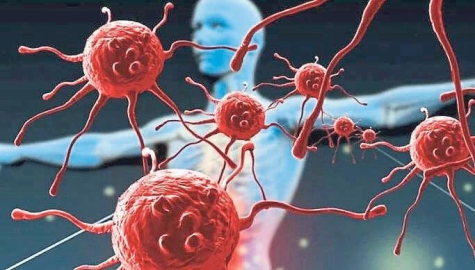 Fazla şeker bağışıklığı savunmasız bırakıyor