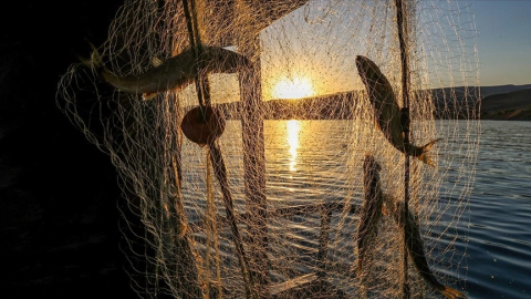 Av yasağının sona erdi! Tezgahlar doldu, taştı