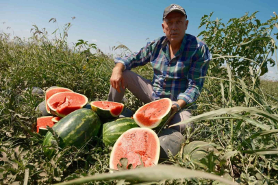 Bursalı çiftçi sözleşmeli karpuz ekti, milyonlarca lira zarar etti