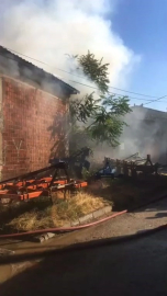 Hayvan çiftliğinde yangın çıktı: 1 kişi hastaneye kaldırıldı