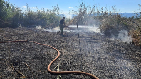İznik'te 100 dönüm alan küle döndü