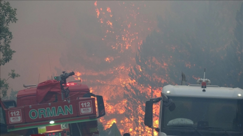 Kastamonu ve Aydın'daki yangınlara müdahale sürüyor