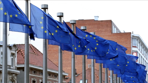 Avrupalıların yarısından fazlası AB'nin genişlemesini istiyor