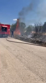Bursa'da çalılık alanda çıkan yangın korkuttu