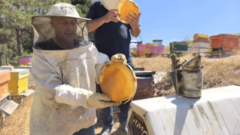 Bursa'da üretilen bu bal her derde deva