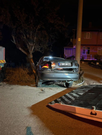 Alkollü sürücü ağaca çarptı: 2 yaralı
