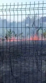 Bursa'da korkutan yangın: Lise bahçesi alev aldı!