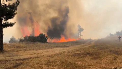Orhaneli Göynükbelen'de orman yangını