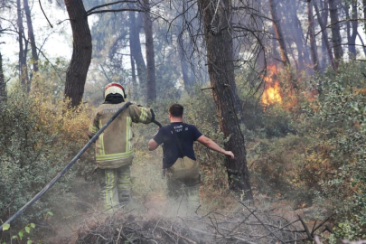 Başkan Bozbey'de yangın açıklaması!
