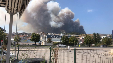Bursa'da korkutan yangını! Ormandan alevler yükseliyor!