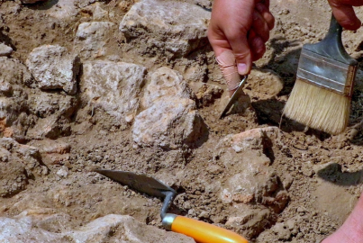 Bursa'daki kazı Anadolu'nun 15 milyon yıllık geçmişine ışık tutacak