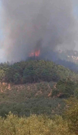 Bursa'daki yangına müdahale devam ediyor!