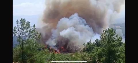 Bursa Valiliği'nden yangın açıklaması!