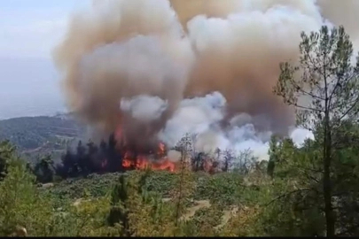 Bursa Valiliği: "Osmangazi’deki orman yangını kontrol altına alındı"