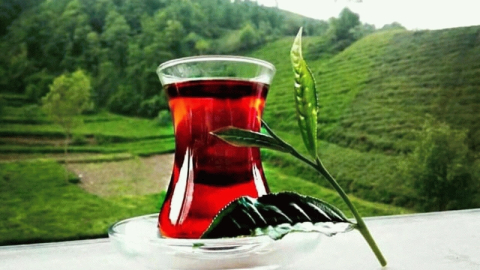 Çaya zam geldi!