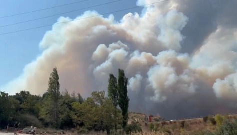 Devletin tüm kurumları Bursa yangını için seferber oldu