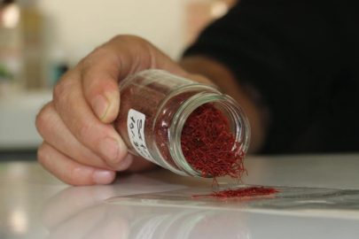 Dünyanın en pahalı baharatı! Kilosu 250 bin lira